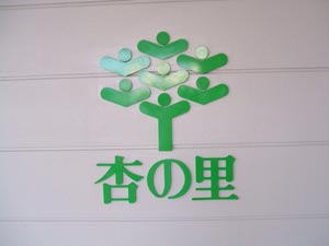 杏.jpg