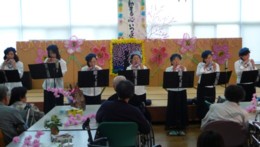 DCora025.jpg