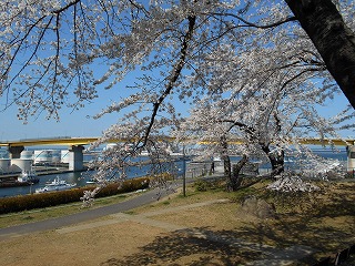 DSCN3035.jpg