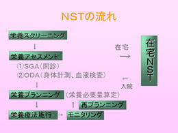 NST-4.jpgのサムネール画像