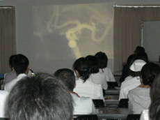 kango13.jpg